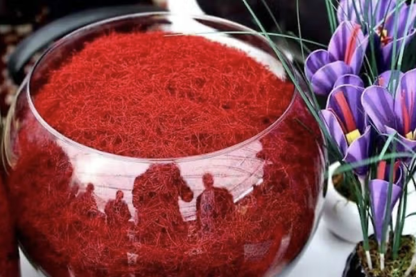 أفغانستان تصدر 30 مليون دولار من الزعفران خلال 9 أشهر