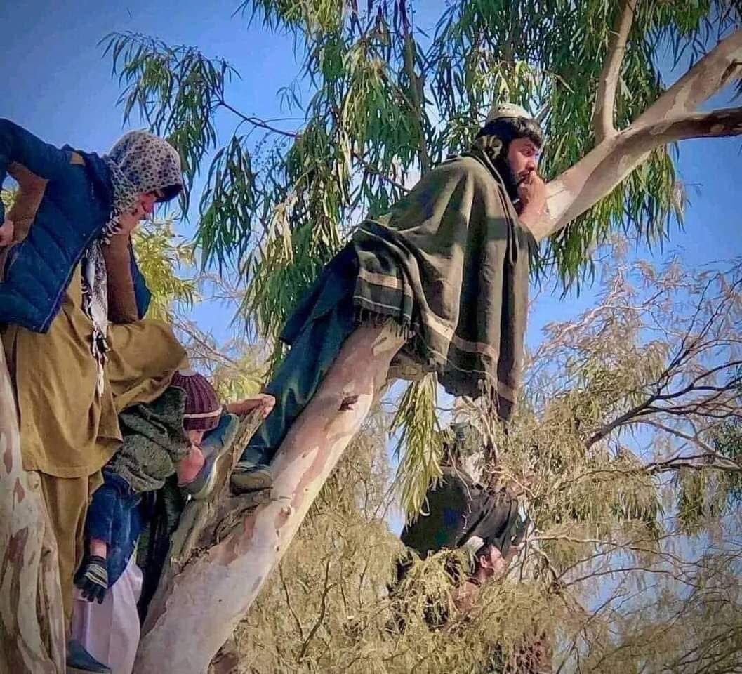 کارشناسان سازمان ملل افزایش مجازات‌های بدنی شهروندان توسط طالبان را محکوم کردند