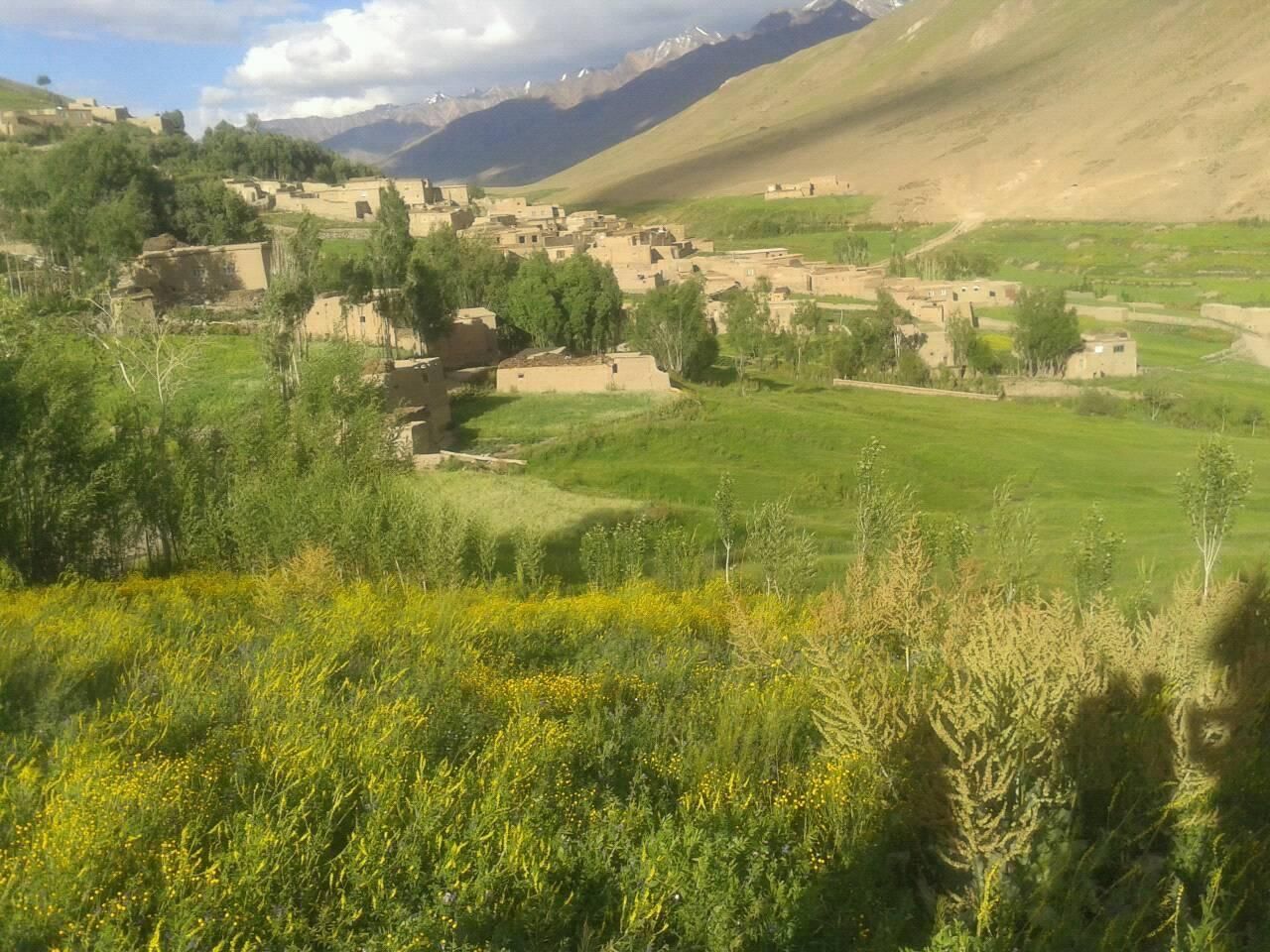 ادامه بازداشت‌های خودسرانه مردم پنجشیر؛ دست‌کم ۵ غیرنظامی در ولسوالی پریان بازداشت شدند