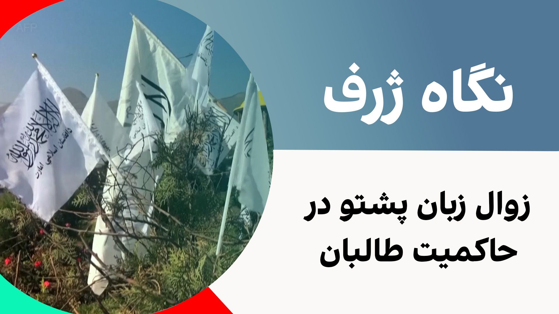 نگاه ژرف: زوال زبان پشتو در حاکمیت طالبان