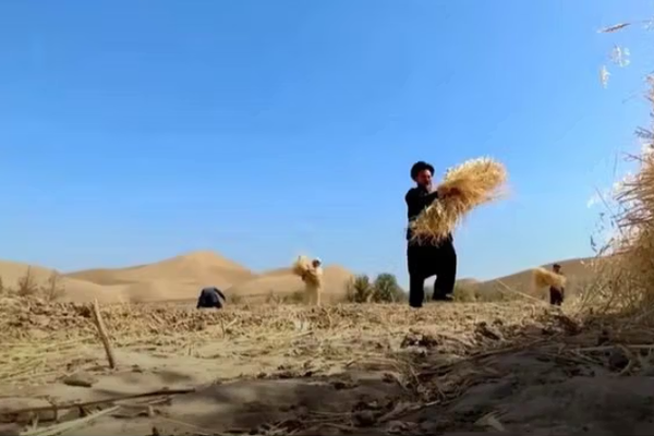 الأمم المتحدة: موجة الحر الشديدة أثرت على أجزاء واسعة من أفغانستان