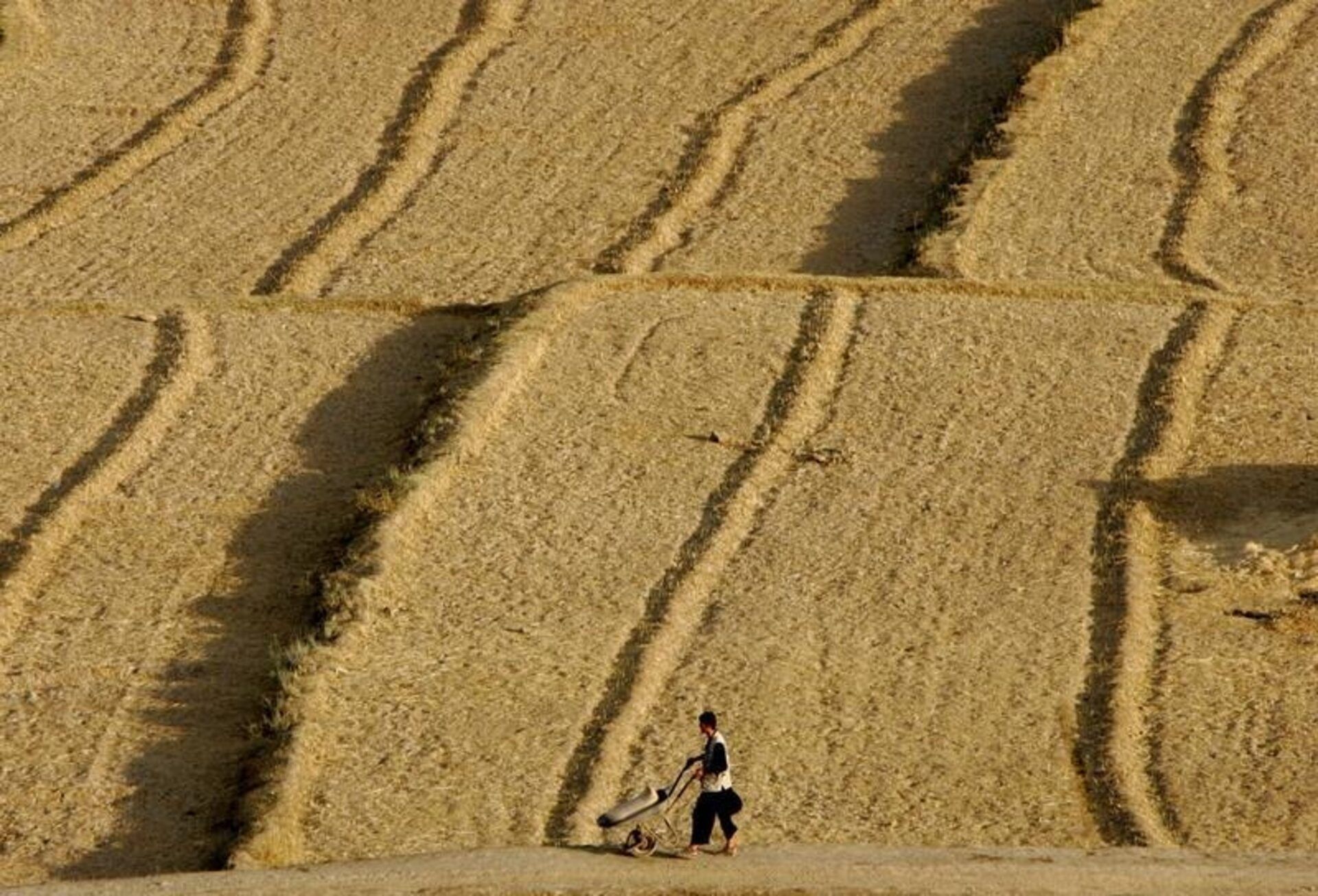 طالبان می‌گوید ملاهبت‌الله ۱۸۰ هزار جریب زمین را برای پرورش مواشی به بخش خصوصی واگذار کرد