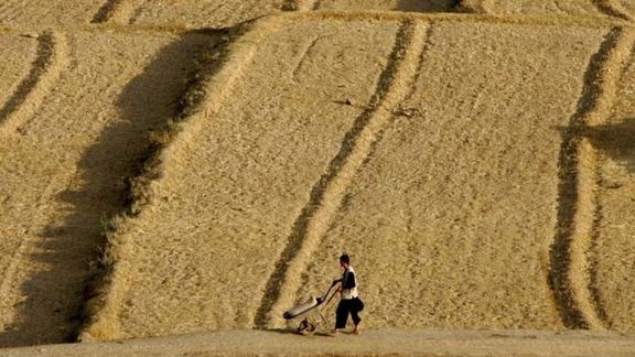 طالبان میگوید ملاهبتالله ۱۸۰ هزار جریب زمین را برای پرورش مواشی به بخش خصوصی واگذار کرد