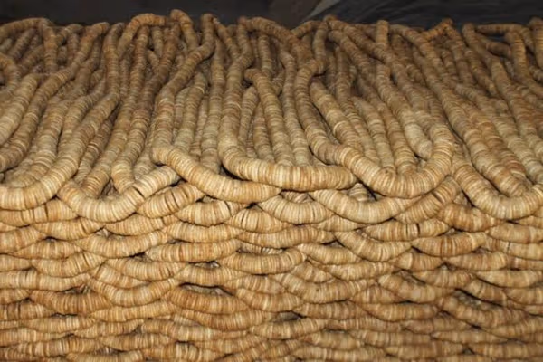 سږکال له کندهار څخه څه باندې ۳۹ زره ټنه انځر بهر ته صادر شوي دي