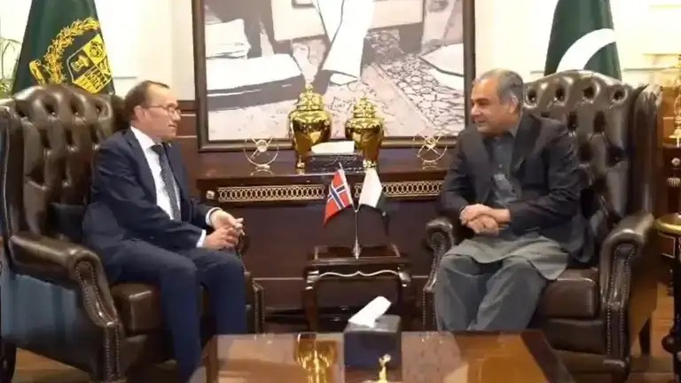 وزير الداخلية الباكستاني: أراضي أفغانستان تُستخدم باستمرار ضد باكستان