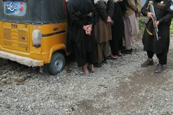 طالبانو په تېرو دوو میاشتو کې په هرات کې نږدې ۴۰۰ کسان د جنایي جرمونو په تور نیولي دي