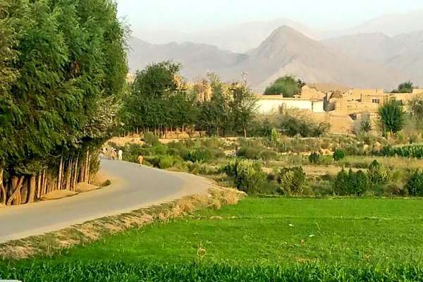 طالبان در سرپل یک نفر را در ملاء عام شلاق زد