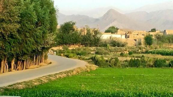 طالبان در سرپل یک نفر را در ملاء عام شلاق زد