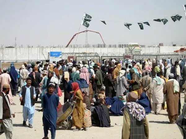 طالب چارواکي: په پاکستان کې افغان کډوال د کابل او اسلام اباد ترمنځ د اختلافاتو بیه پرې کوي