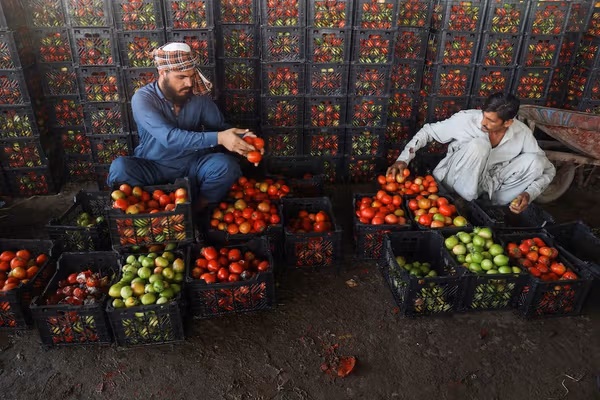 بنبست در روابط طالبان و پاکستان؛ ۱۲۲ میلیون دالر زیان در سه هفته تجارت دو کشور