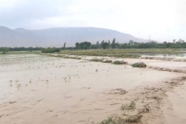 بغلان کې وروستیو سېلابونو ۷۱زره جریبه کرنیزه ځمکه ویجاړه کړې