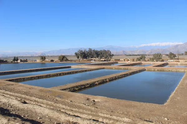 د طالبانو اقتصادي کمیسیون د کبانو د ۷۷۰۰ فارمونو جوړولو طرحه تایید کړې