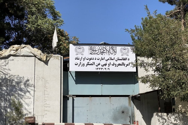 طالبان وايي، په ډایکندي او سرپل ولایتونو کې یې دوه کوډګر نیولي دي