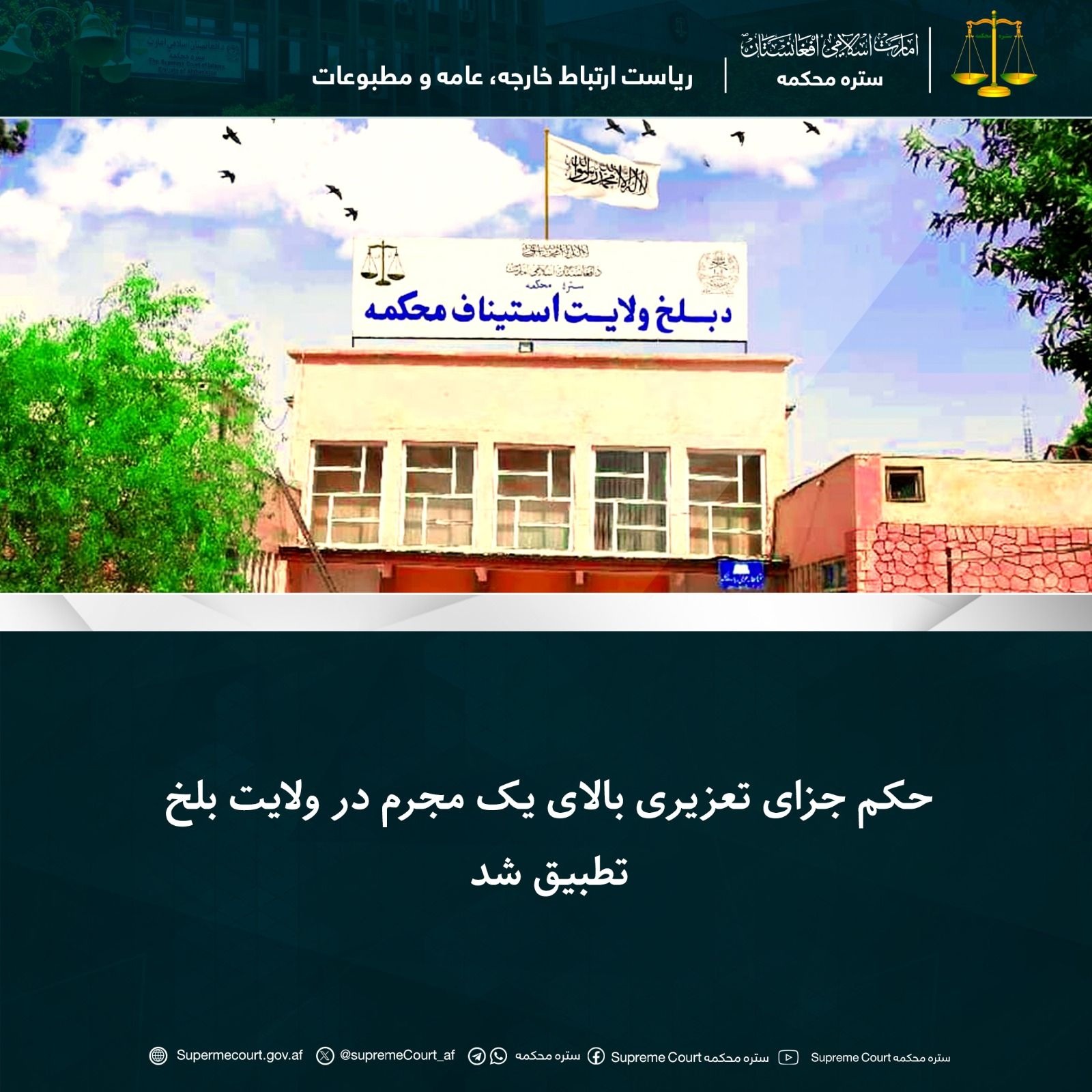 طالبانو په بلخ کې د الکولي مشروباتو د قاچاق په تور یو کس په دُرو وهلی دی