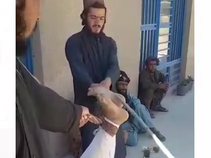 فراتر از ۱۰۷ هزار شلاق طالبان بر تن انسان افغانستان